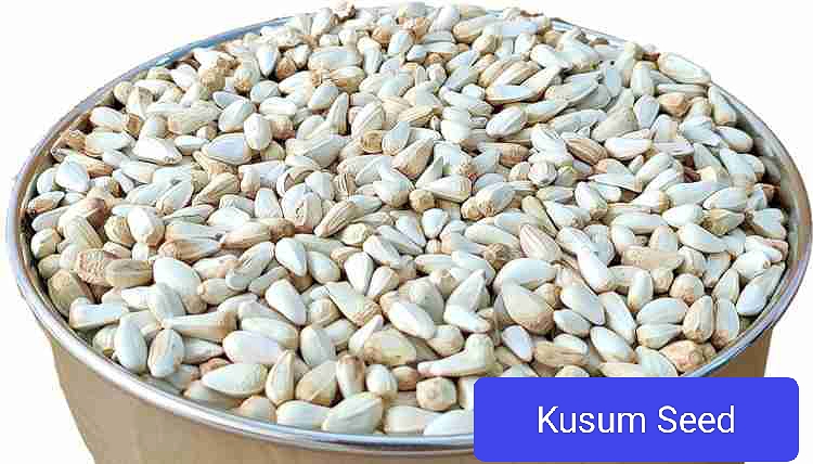 Seed